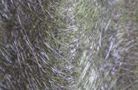 Dundyvan fibreglass roof work